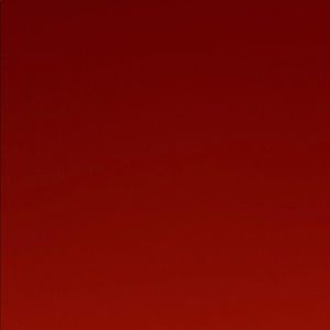 Meet your Posher, Joey